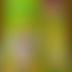 「取り越し苦労」由来