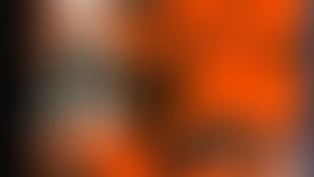 浄土真宗の素晴らしい世界