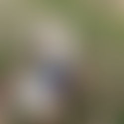 悪人の自覚ありますか