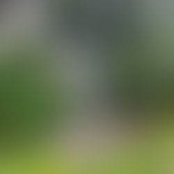 10年ぶりのお盆参り