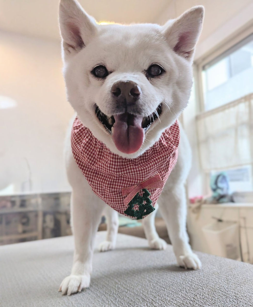 人生の教訓10選