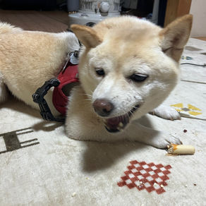 ぬり絵のおかげ