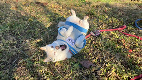 白骨となれる身