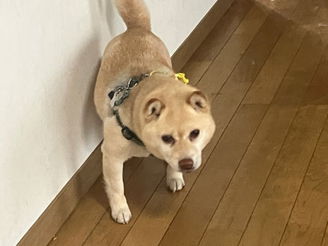 忘却は世の常というけれど