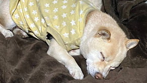 有難うなのに無言?