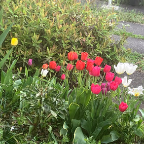 ゼブラゾーンでの出来事