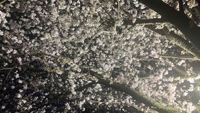 家族葬、火葬式の落とし穴