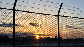 柴犬の生態を知ってください