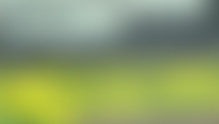 「間」を大切に