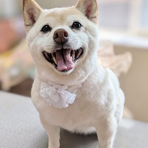 恩徳讃の恩とは何