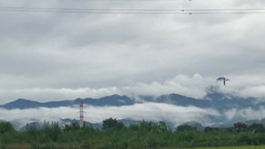 おはようございます