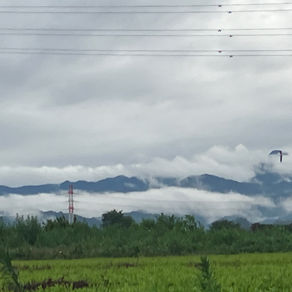 おはようございます