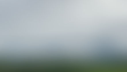 おはようございます