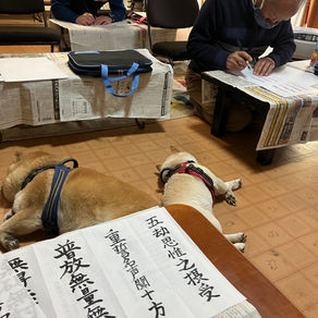 【親鸞聖人御誕生850年•立教開宗850年慶讃法要記念】全国布教同志会法話会出向のご案内