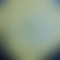 常識を超えた道