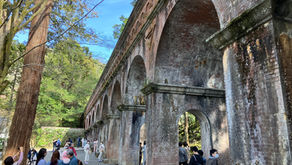 何で驚かないんだろう