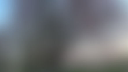 命を皆救いたい阿弥陀さま