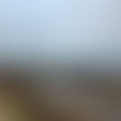 失ったものの大きさは