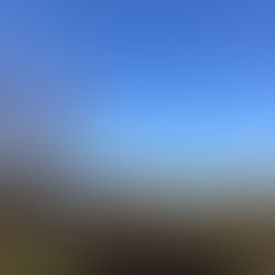 どうして蓮如上人は吉崎に