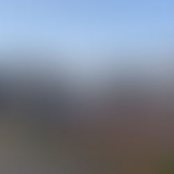 おい、おい、動物以下って