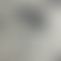 自分をありのままに見ること