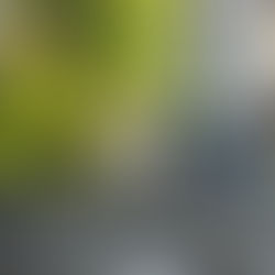 そのままのお救いがわからないのが凡夫の悲しさ