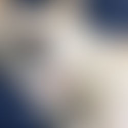 ガンジーの命日ゆえ