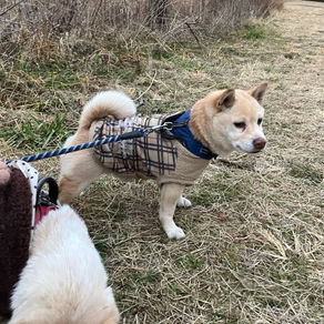 他人事ではないのです