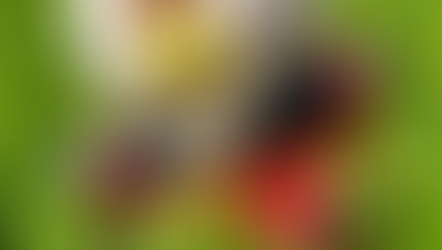 入間の季節到来