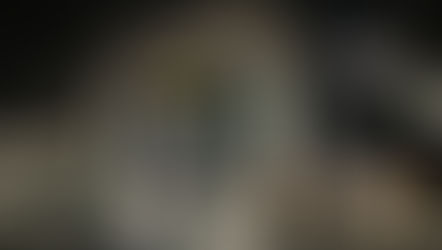 六甲庵の思い出(神戸淡路大震災)