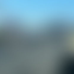 ぜ〜んぶ、お見通し