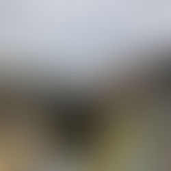 せっせと歩く住職