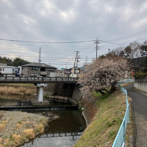 せっせと歩く住職