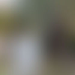 自分を頼りにしちゃう凡夫