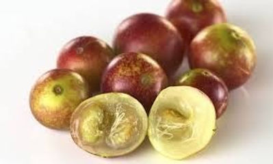 Organic Camu Camu - 4mul8 Organics 2