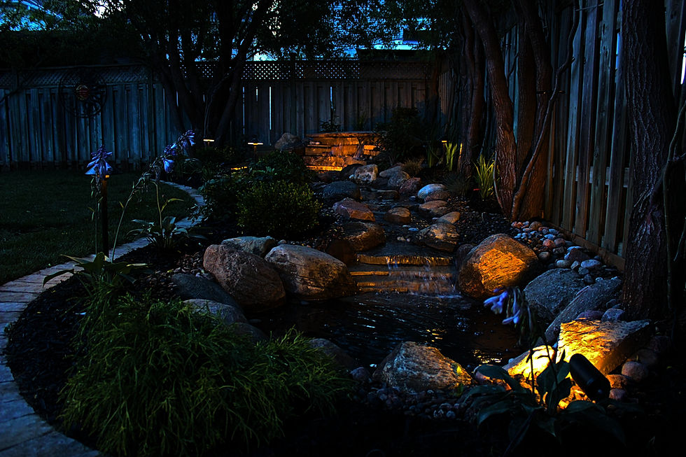 Landscape Lighting 7