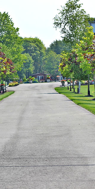 Birk's Landscaping photo 2