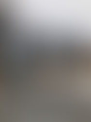 How to Design a Garden for the Often-Forgotten Winter Season