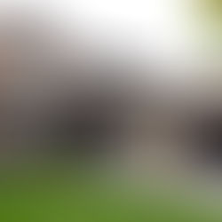 The Power of Curb Appeal: How Landscaping Increases Home Value