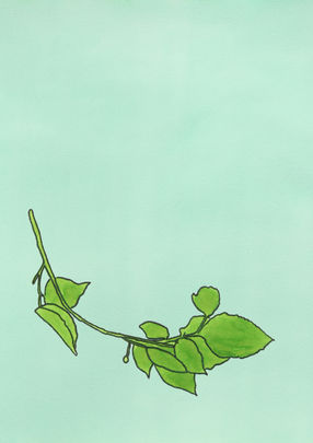 Branch (2022)