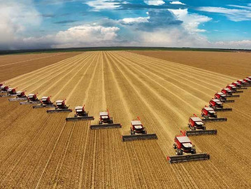 Redes e produção do território nas áreas de expansão da fronteira agrícola em Mato Grosso