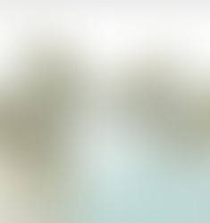 Da Cobiça a Alienação: a coisificação do homem pelo dinheiro