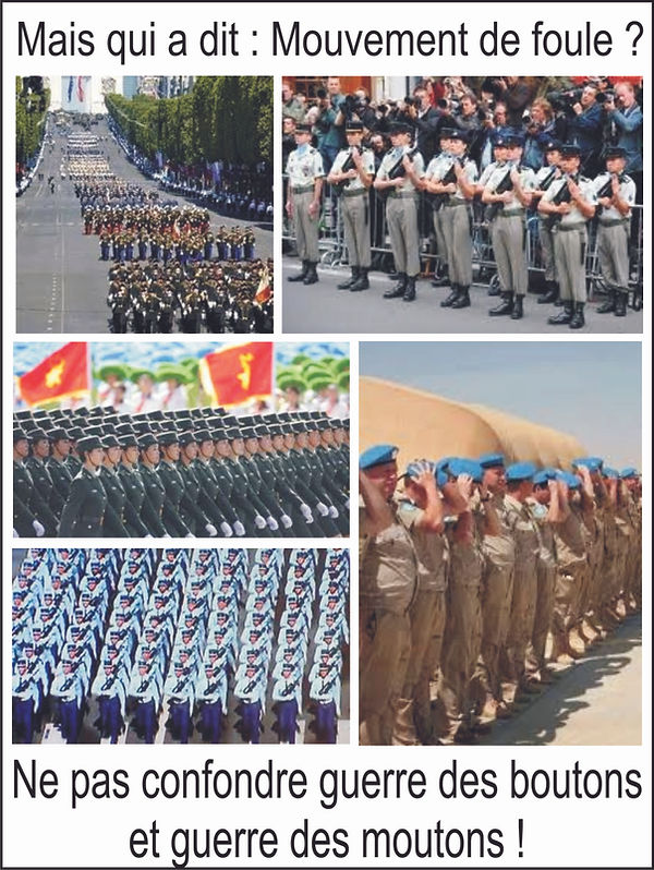 Guerre des moutons.jpg