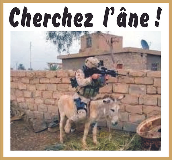 Cherchez l'âne !.jpg