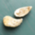 Frish Oyster (1 Pc)