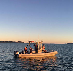 The Port of Townsville Inshore Dolphin Monitoring Project Team