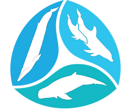 Cetacean, Ecology, Biology and Evolution Lab, Flinders University