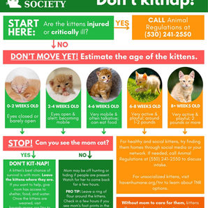 Don't Kitnap Infographic