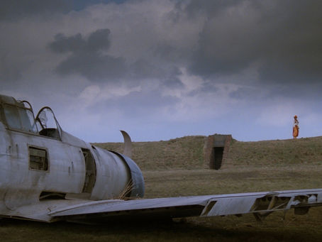 AMERICAN MUSTANG