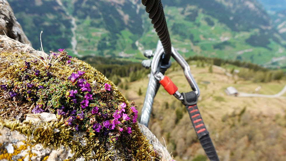 Klettersteig-Ausstieg - im Hintergrund die Saukaralm